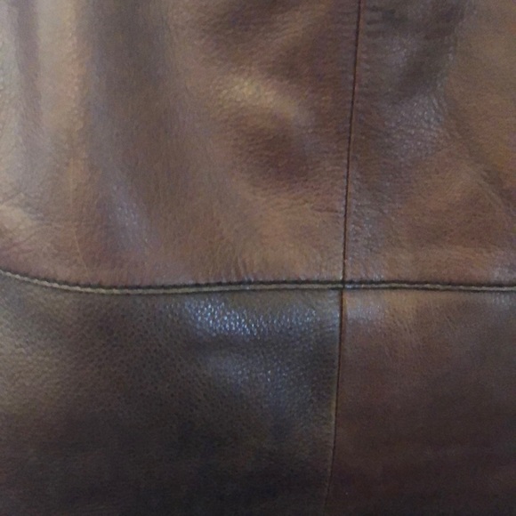 A Fossil Worth Looking At - Picture 7 of 8